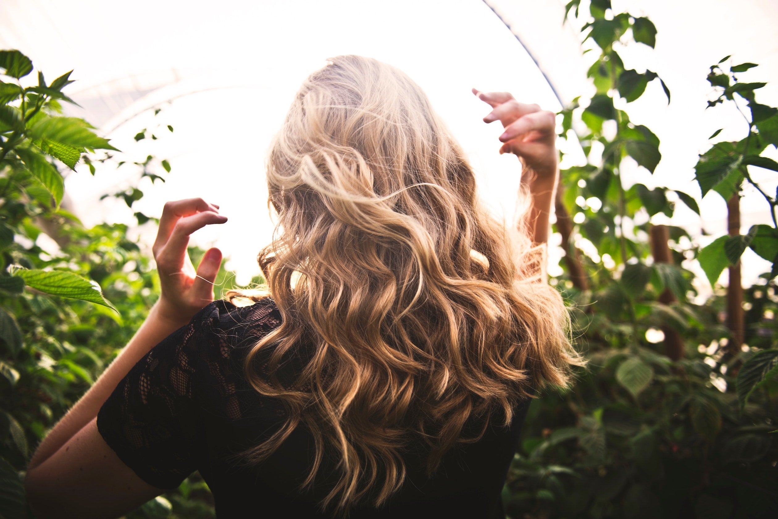 back of a blonde woman's head