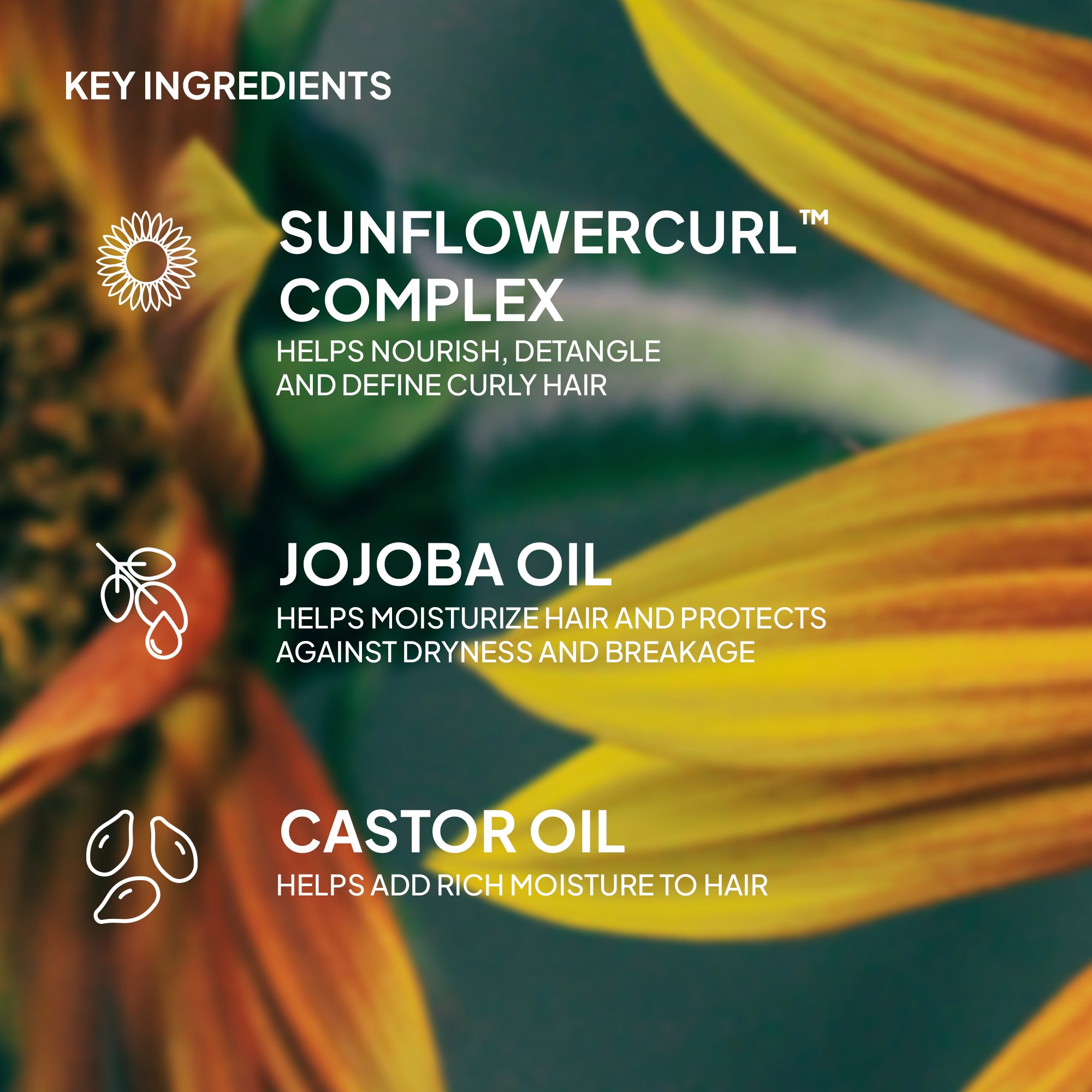Curl Oil